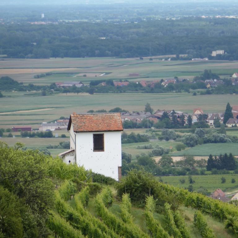 Apartmán Le Bacchus Barr Exteriér fotografie