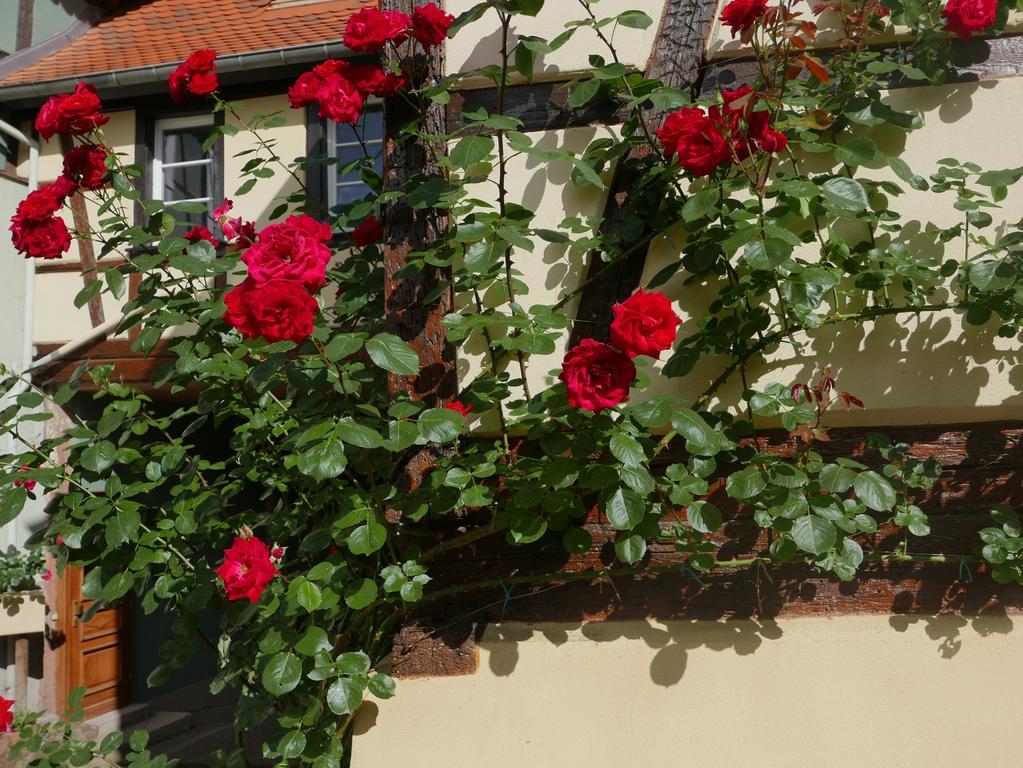 Apartmán Le Bacchus Barr Exteriér fotografie